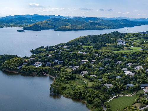 天目湖 船游山水园 南山竹海2日游 打卡两大IP名片,夏日特辑梦幻风铃节,含早赠鱼头餐,非周末宿锦江都城酒店,周末升级宿金峰国际度假酒店